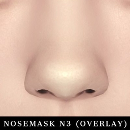 Nosemask N3 (Overlay) project image