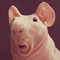 HIRABRONUS