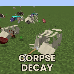 Corpse decay