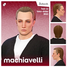 Machiavelli Hair project image