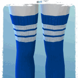 Chub_Seal_High-Socks-01 project image