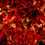 RaethInfinite logo