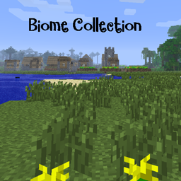 Biome Collection project image