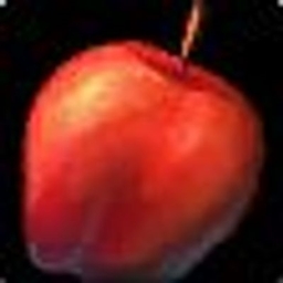 SillyFoodTracker logo