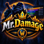Mr.Damage logo