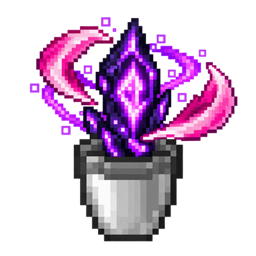 BOMD & Nouveau