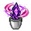 BOMD & Nouveau logo
