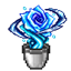 Aquamirae & Nouveau logo