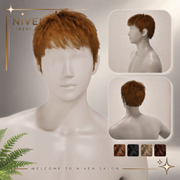 Niven Hair 80 - Doe Hair (Males) project image