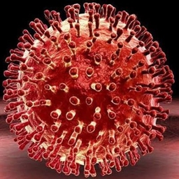 THE VIRUS logo