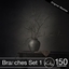 [kta] Branches Set 1 logo