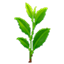 Tea Craft hs logo