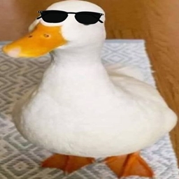 Quack'n Client logo