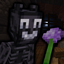 Allium+ logo