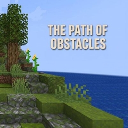 The Path of Obstacles project image