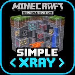 Simple Xray project image