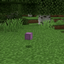ShulkersWontDespawn logo