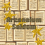 Arcaneium Seldom logo