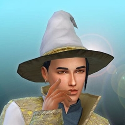 TS2 Male Witch Hat project image