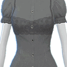 Chub_Seal_RC_Lace-Shirt-01 logo
