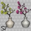Solatium Flower 🌿🌸 logo