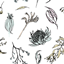 Agriculture But Magic logo