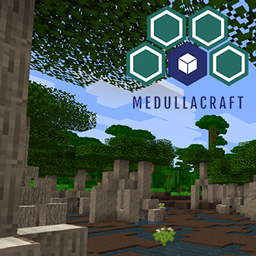 Medullacraft logo