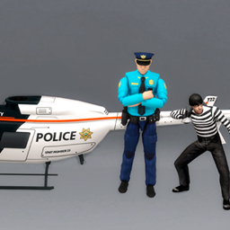 Police Plane project image