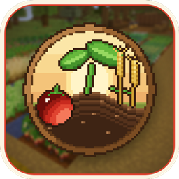 Sprout & Soil project image