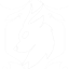 Wild Horizons ZX logo