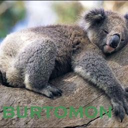 Burtomon project image