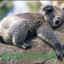 Burtomon logo