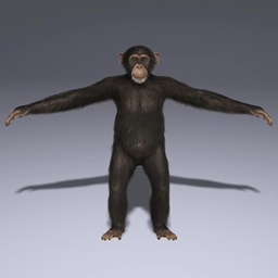 Monky Mode