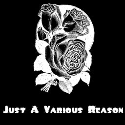 Just A Various Reason