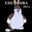 Chungora Lite logo