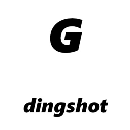 dingshot logo