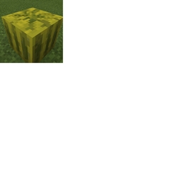 Melon Fields logo
