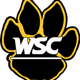 Wayne State Modpack project image