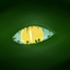 Vali&Valy logo