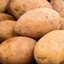 The Potato Mod by Minebender9 logo