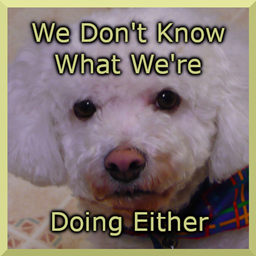 We Don't Know What We're Doing Either project image