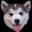 Wolfpack Emotes (Classic) logo