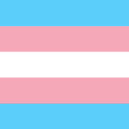 TransFun logo