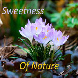 Sweetness Of Nature project image