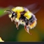 The Birds and the Bees logo