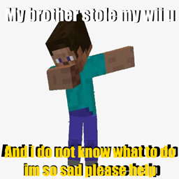 My Brother Stole my Wii logo