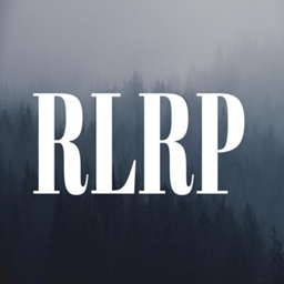 RLRPG-Realistic RPG project image