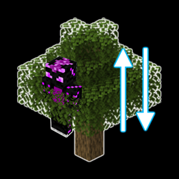 TreeClimbing project image