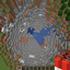 Configurable TNT logo