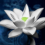The Lotus Pack logo